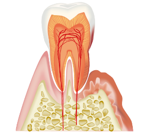 金沢市寺町・川原けんこう歯科