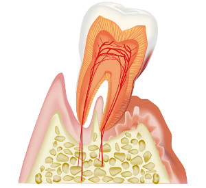 金沢市寺町・川原けんこう歯科