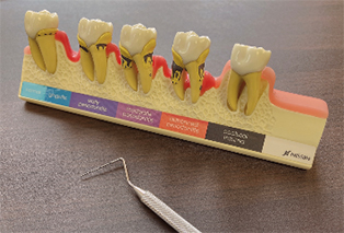 金沢市寺町・川原けんこう歯科